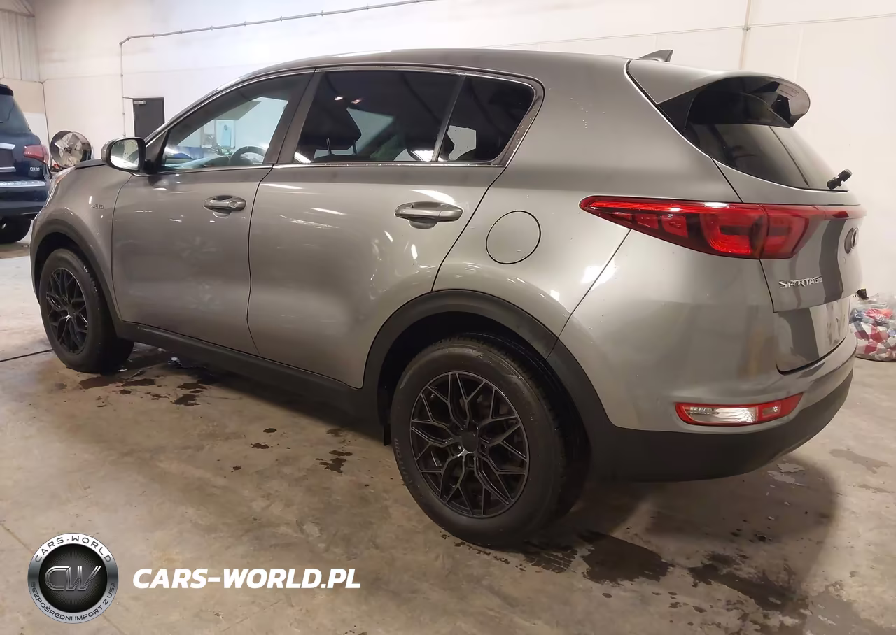 2019 Kia Sportage Lx VIN:KNDPMCAC6K7579096 - 3