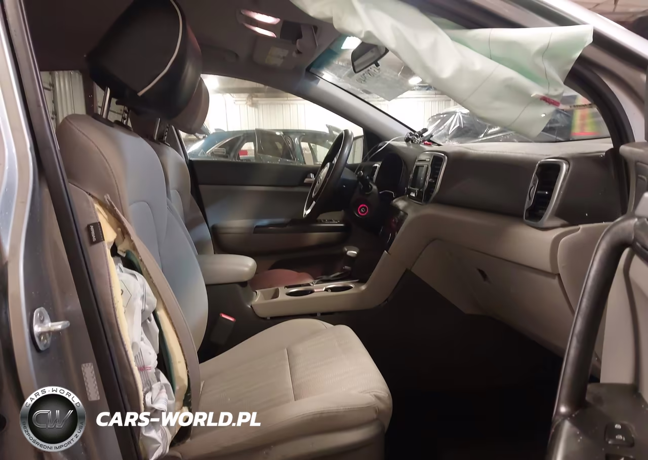 2019 Kia Sportage Lx VIN:KNDPMCAC6K7579096 - 5