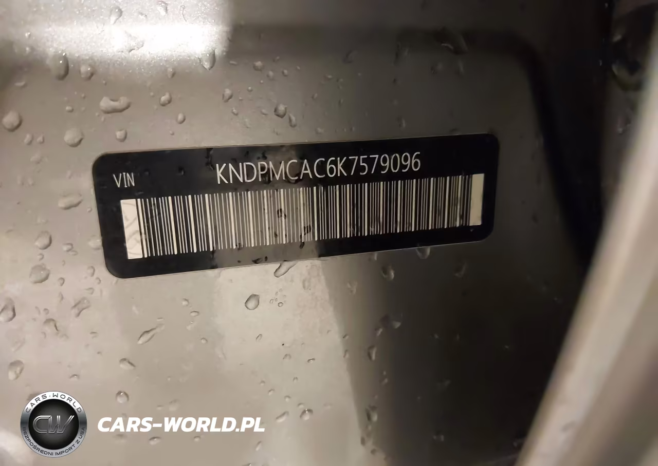 2019 Kia Sportage Lx VIN:KNDPMCAC6K7579096 - 9