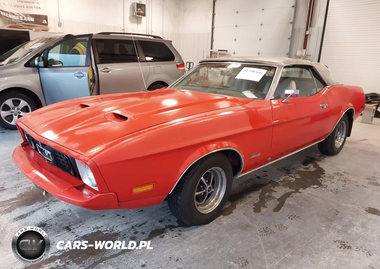 1973 Ford Mustang VIN:3F03F238313 - 2