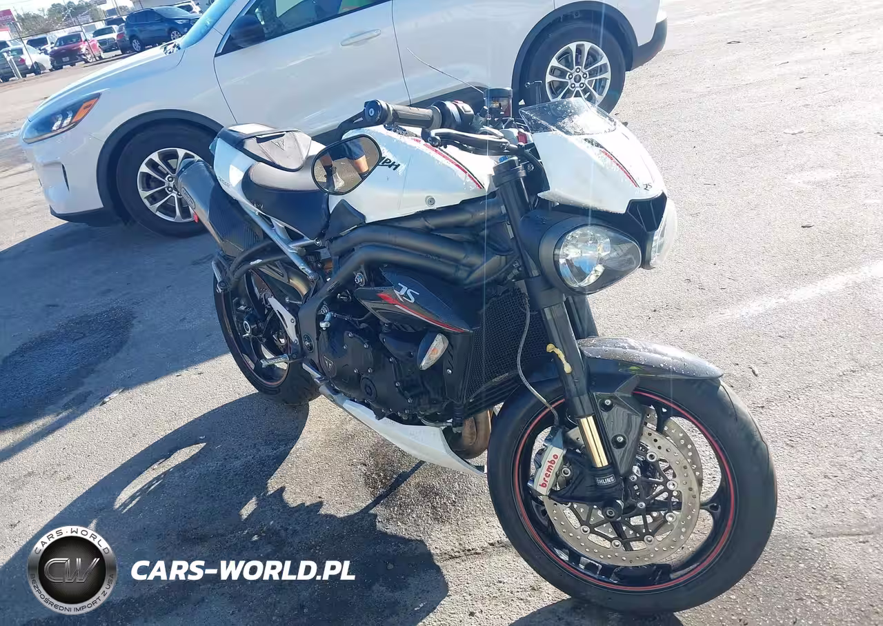 2019 Triumph Motorcycle Speed Triple Rs