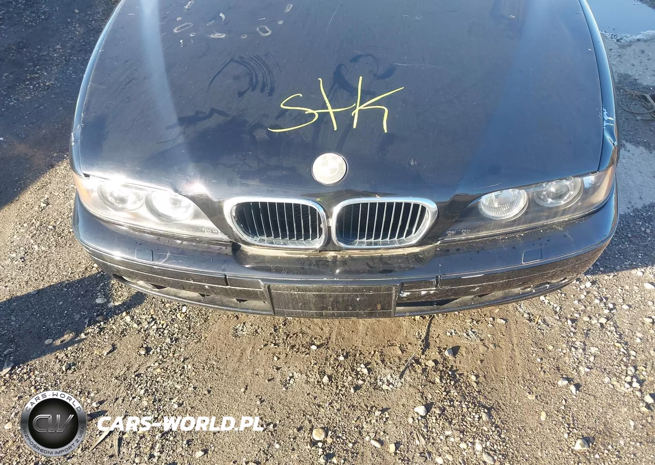 2003 BMW 525Ia VIN:WBADT43443G028200 - 10