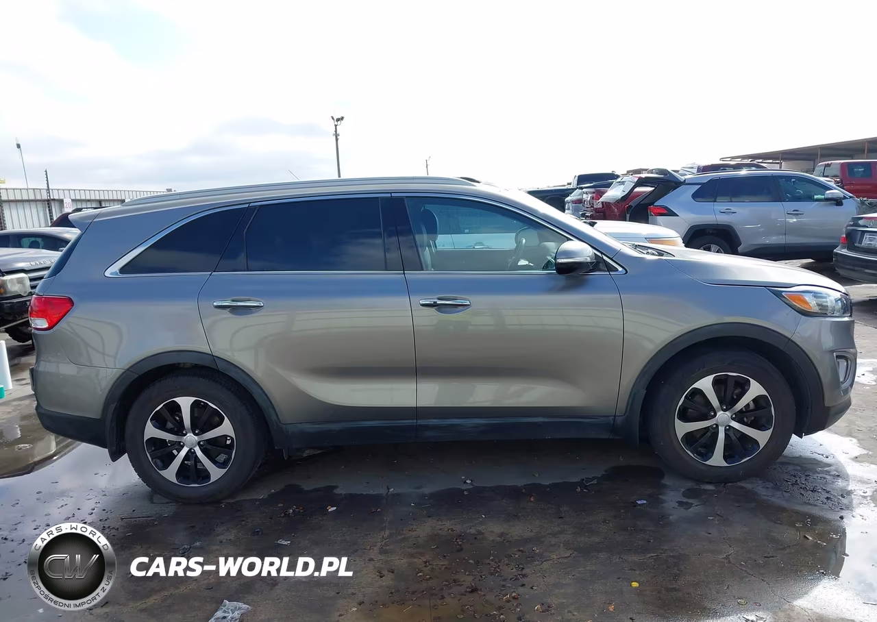 2017 Kia Sorento 3.3L Ex VIN:5XYPH4A51HG287055 - 14
