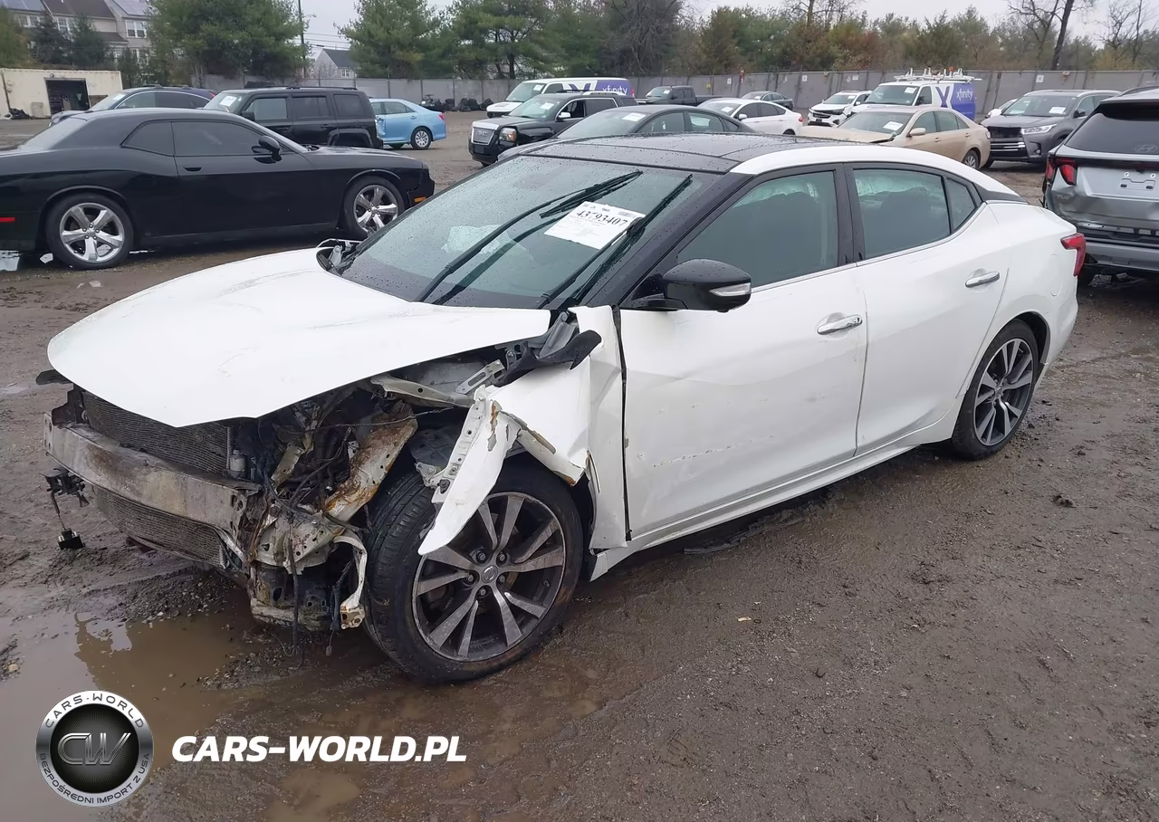 2017 Nissan Maxima 3.5 Platinum VIN:1N4AA6AP0HC384104 - 2
