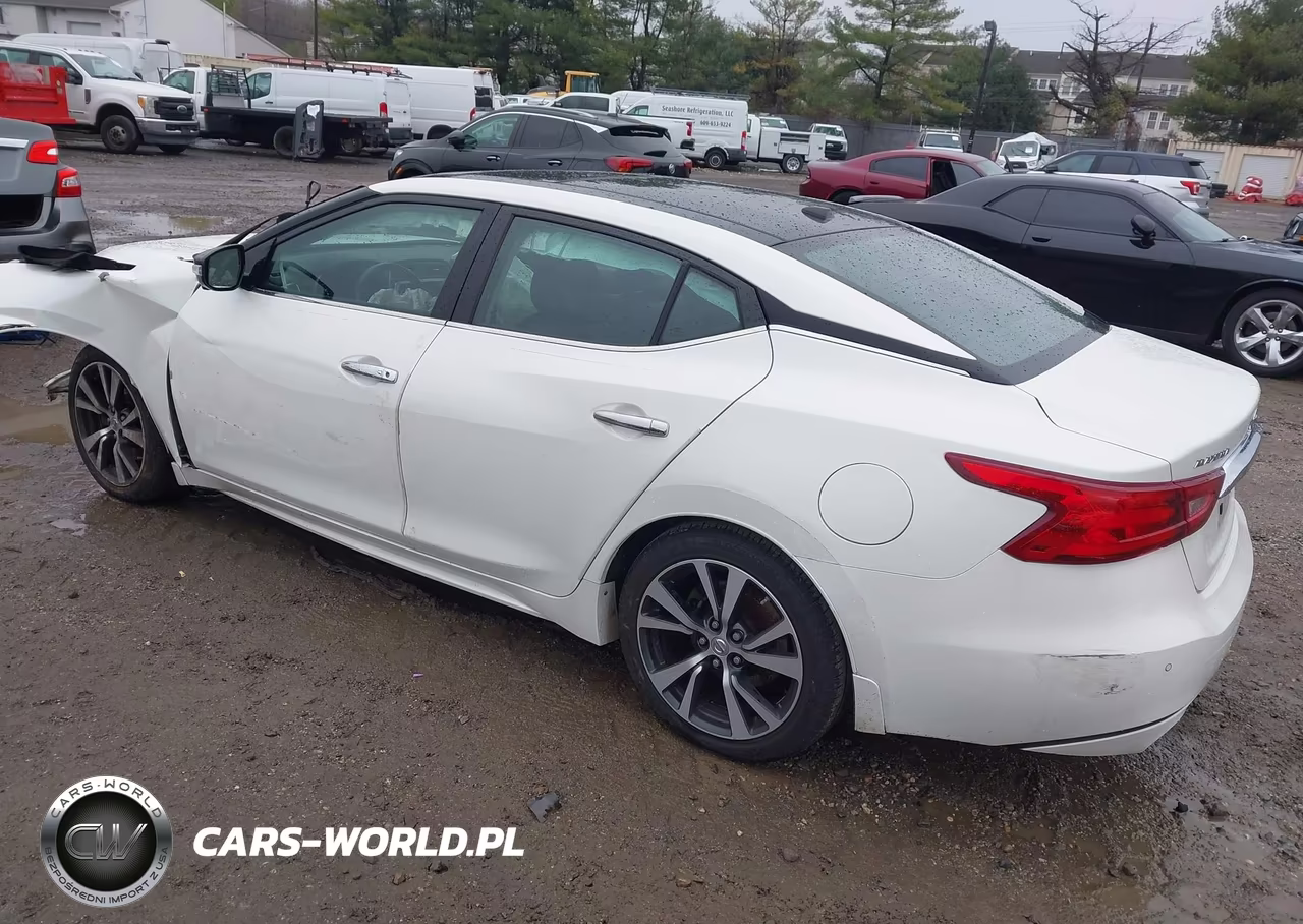 2017 Nissan Maxima 3.5 Platinum VIN:1N4AA6AP0HC384104 - 3
