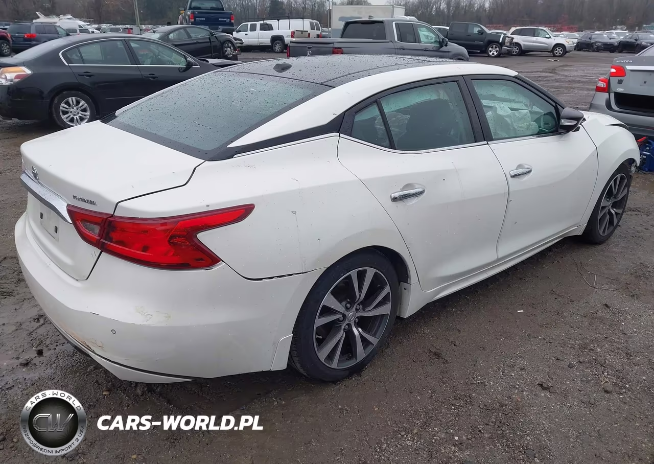 2017 Nissan Maxima 3.5 Platinum VIN:1N4AA6AP0HC384104 - 4