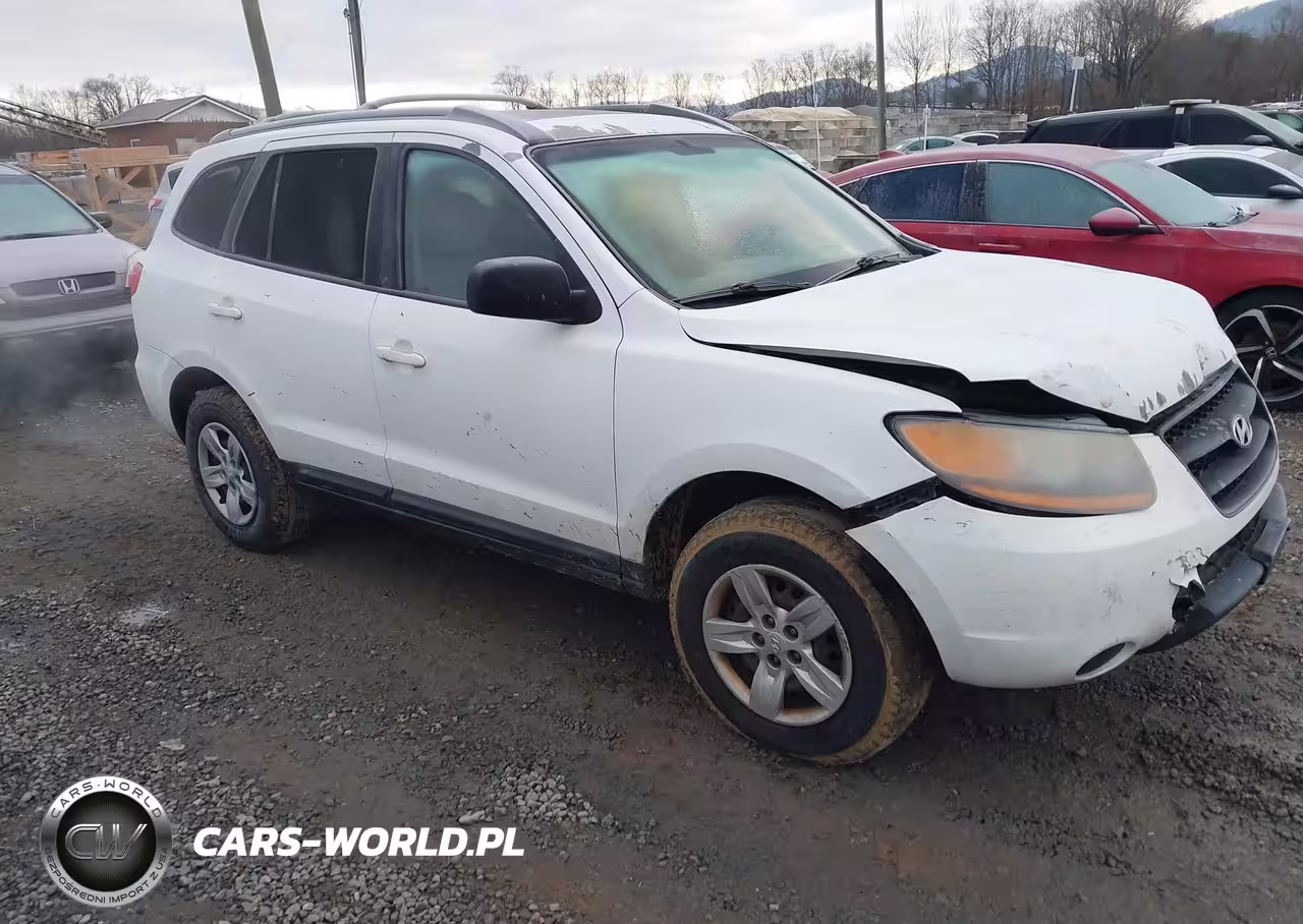 2009 Hyundai Santa Fe Gls