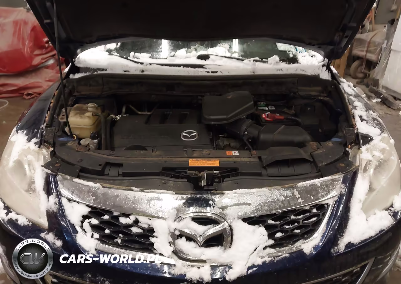 2012 Mazda Cx-9 Grand Touring VIN:JM3TB3DV8C0335534 - 10