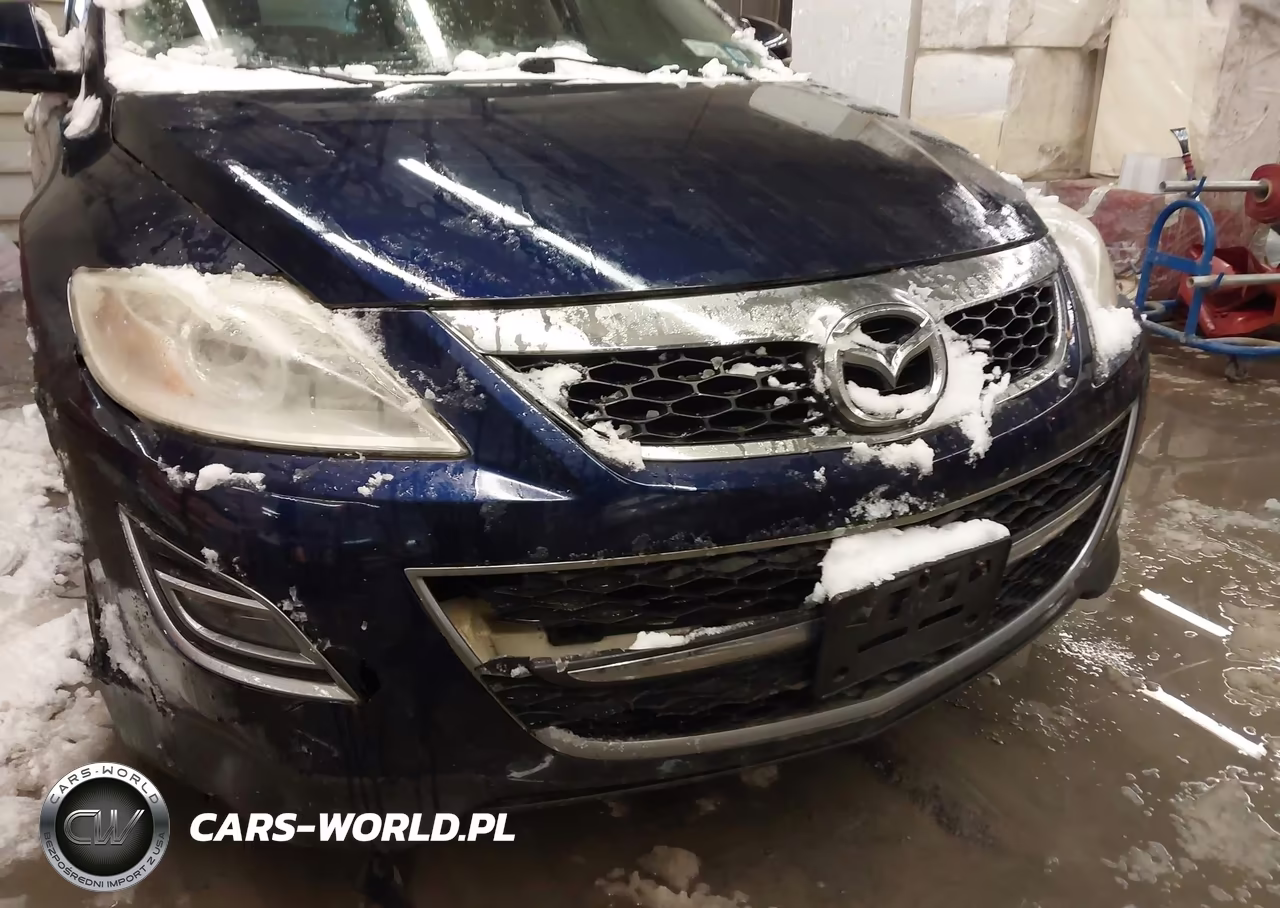 2012 Mazda Cx-9 Grand Touring VIN:JM3TB3DV8C0335534 - 6