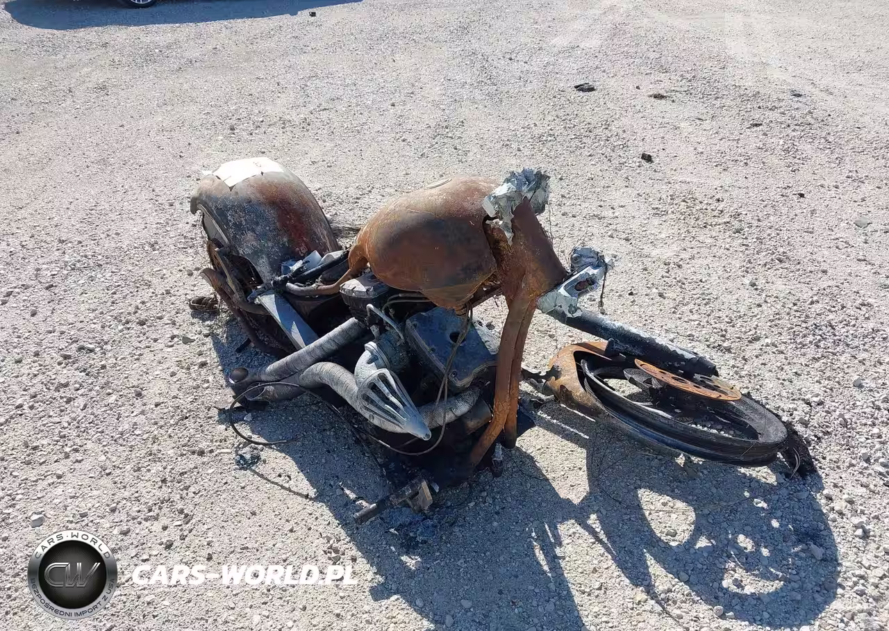 2009 Big Bear Choppers The Sled Chopper