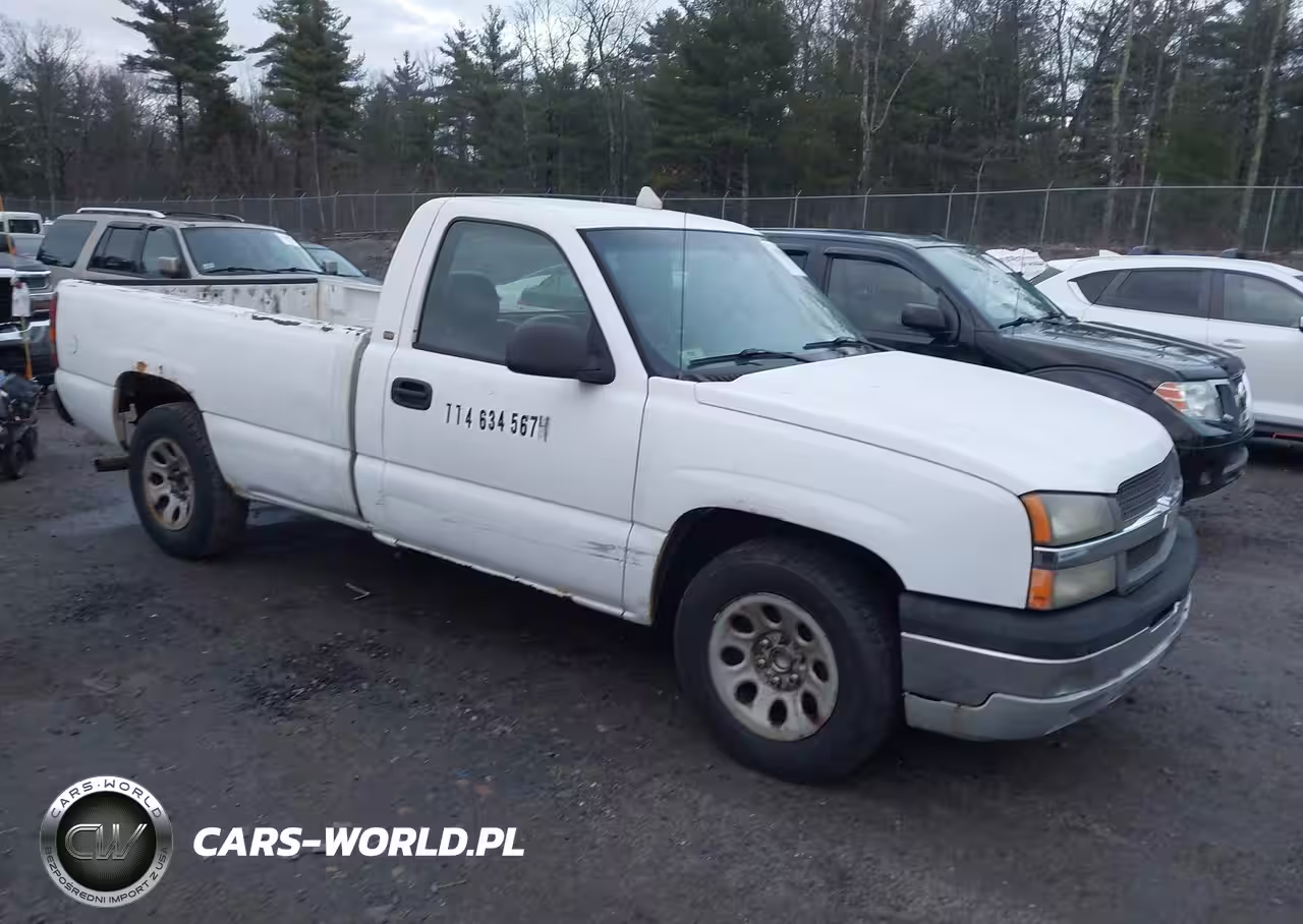 2005 Chevrolet Silverado 1500 Work Truck