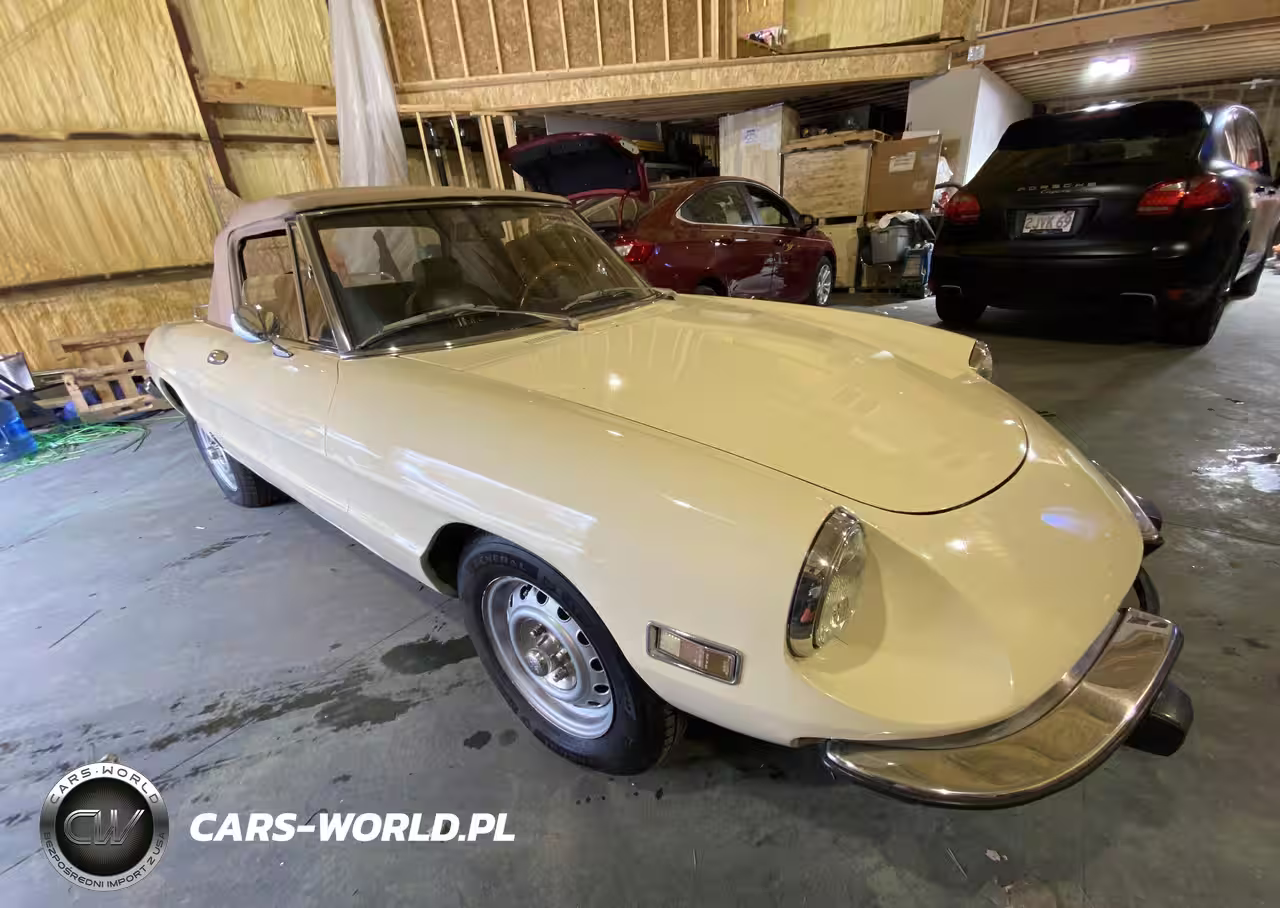 1973 Alfa Romeo Spider