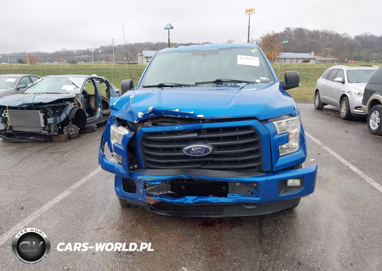 2015 Ford F-150 Xlt VIN:1FTFX1EF4FKD79185 - 12