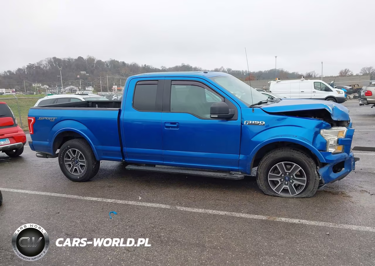 2015 Ford F-150 Xlt VIN:1FTFX1EF4FKD79185 - 13