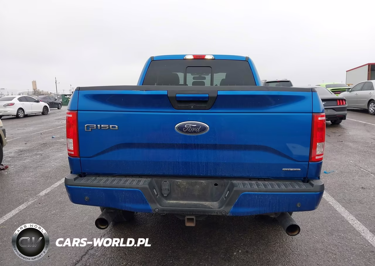 2015 Ford F-150 Xlt VIN:1FTFX1EF4FKD79185 - 16