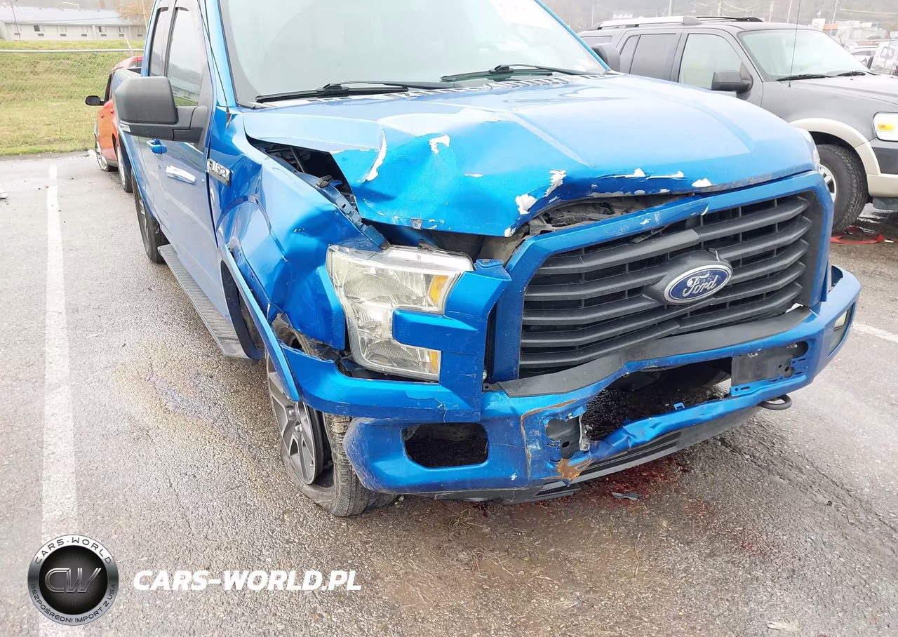 2015 Ford F-150 Xlt VIN:1FTFX1EF4FKD79185 - 6
