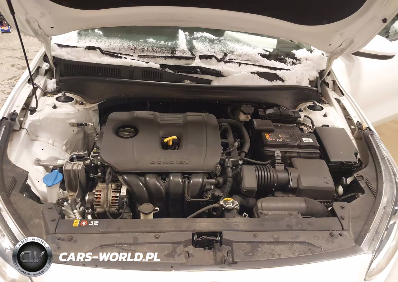 2019 Kia Forte Lxs VIN:3KPF24ADXKE120234 - 10