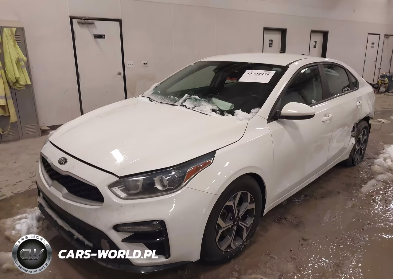 2019 Kia Forte Lxs VIN:3KPF24ADXKE120234 - 2