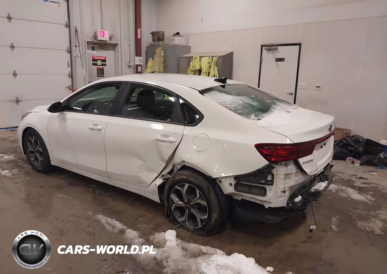 2019 Kia Forte Lxs VIN:3KPF24ADXKE120234 - 3