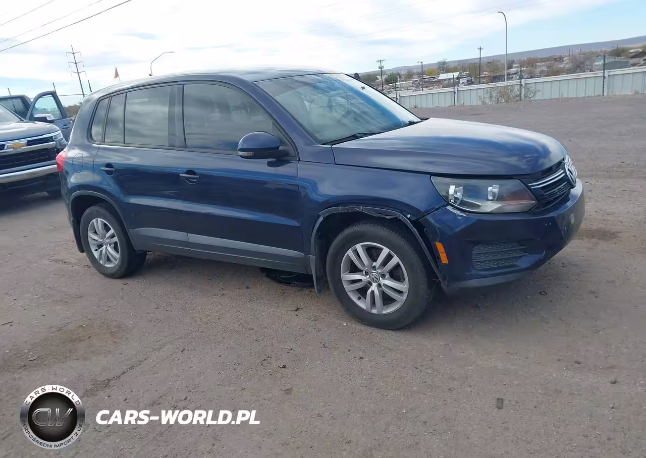 2013 Volkswagen Tiguan S