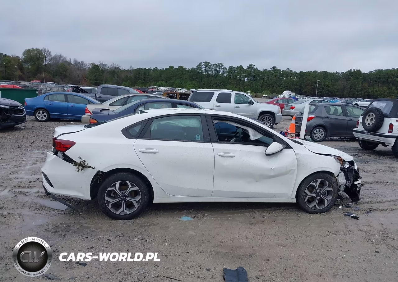 2020 Kia Forte Lxs VIN:3KPF24AD2LE243513 - 13
