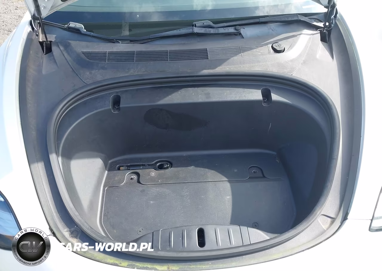 2020 Tesla Model 3 Standard Range Plus Rear-Wheel Drive-Standard Range Rear-Wheel Drive VIN:5YJ3E1EA6LF661687 - 10