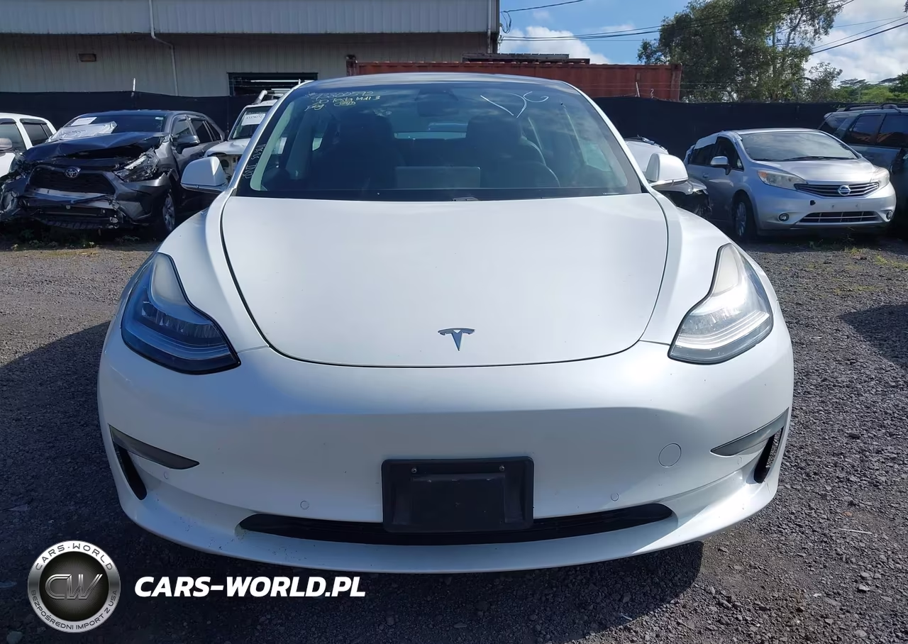 2020 Tesla Model 3 Standard Range Plus Rear-Wheel Drive-Standard Range Rear-Wheel Drive VIN:5YJ3E1EA6LF661687 - 12