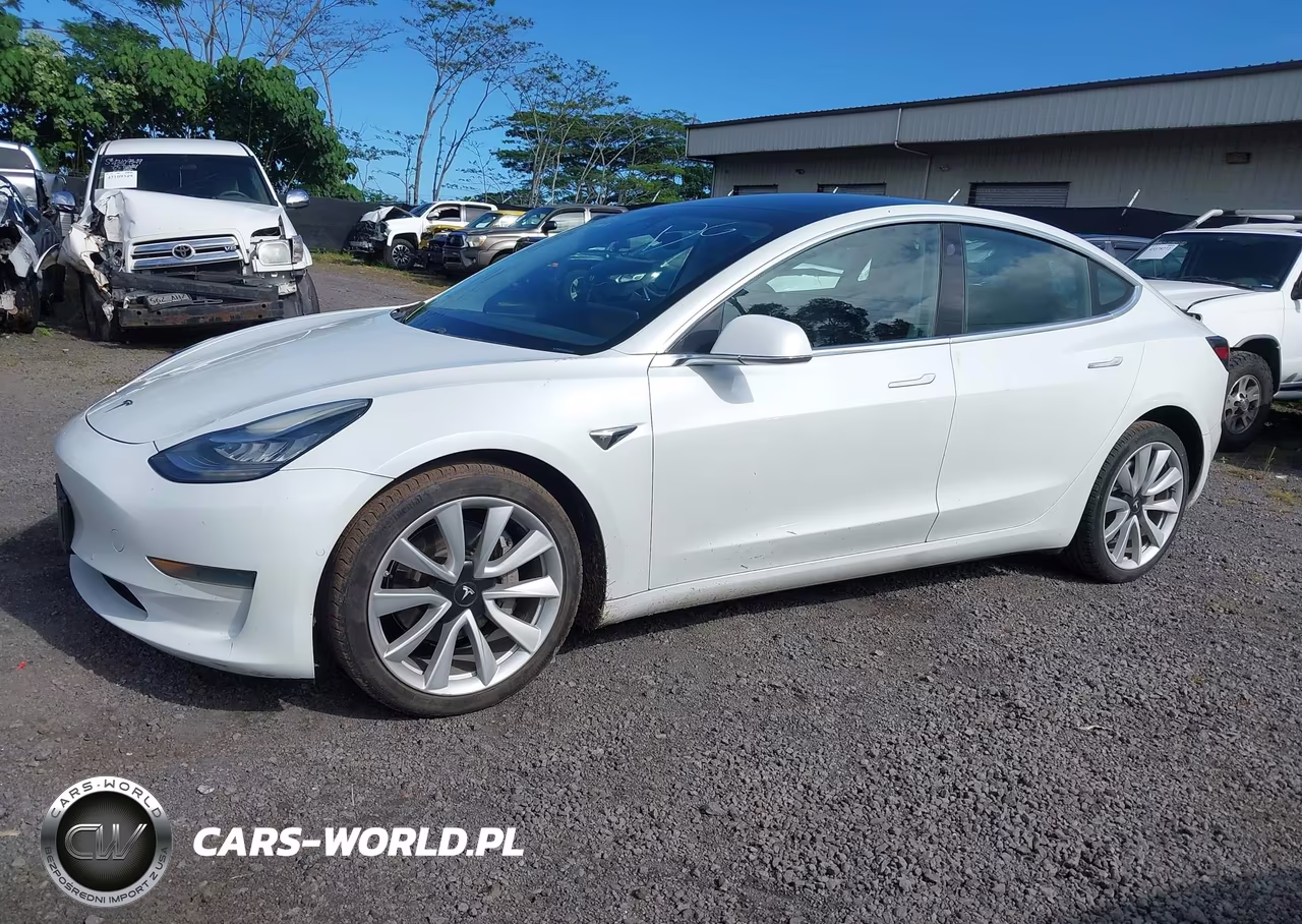 2020 Tesla Model 3 Standard Range Plus Rear-Wheel Drive-Standard Range Rear-Wheel Drive VIN:5YJ3E1EA6LF661687 - 14