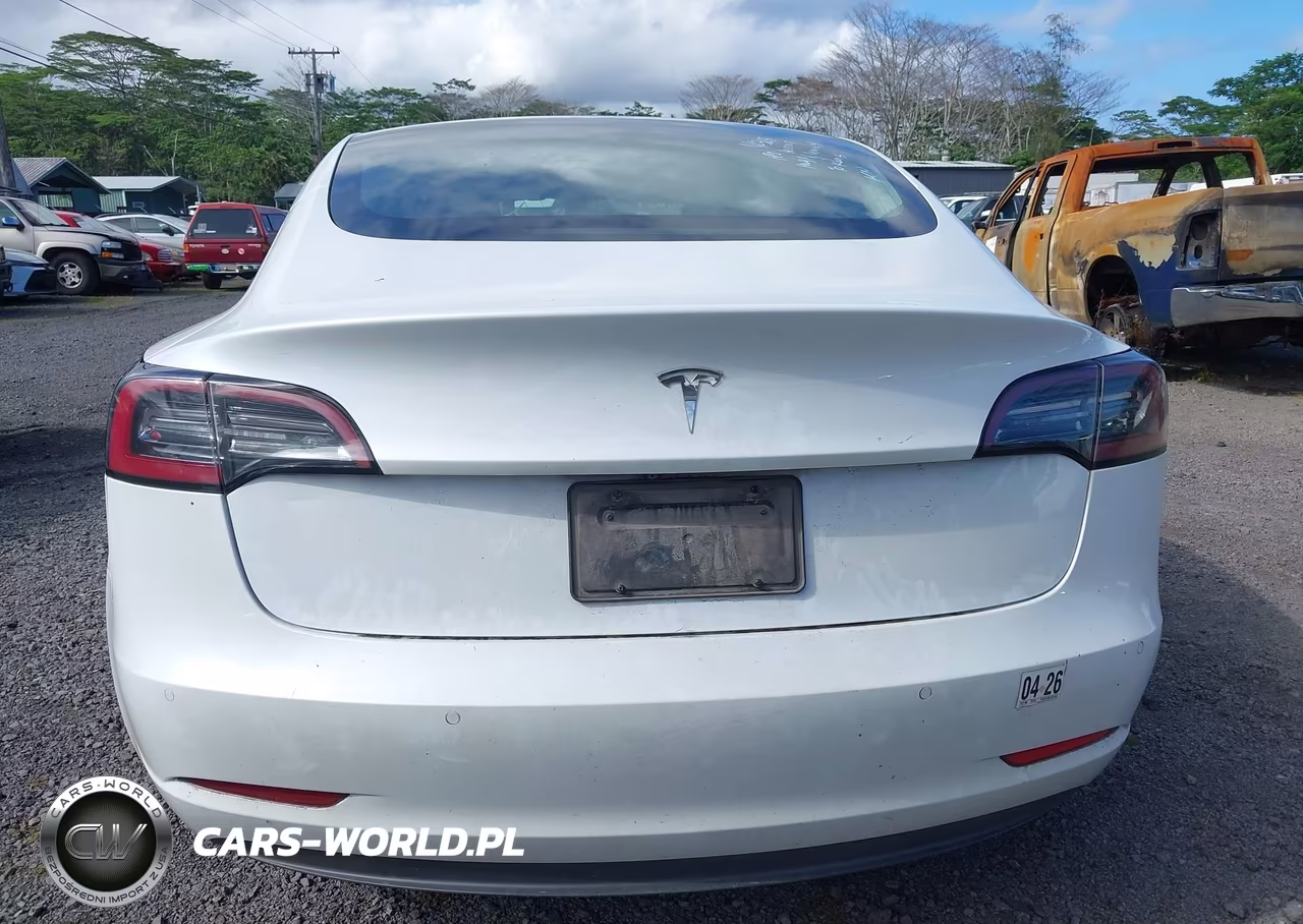 2020 Tesla Model 3 Standard Range Plus Rear-Wheel Drive-Standard Range Rear-Wheel Drive VIN:5YJ3E1EA6LF661687 - 16
