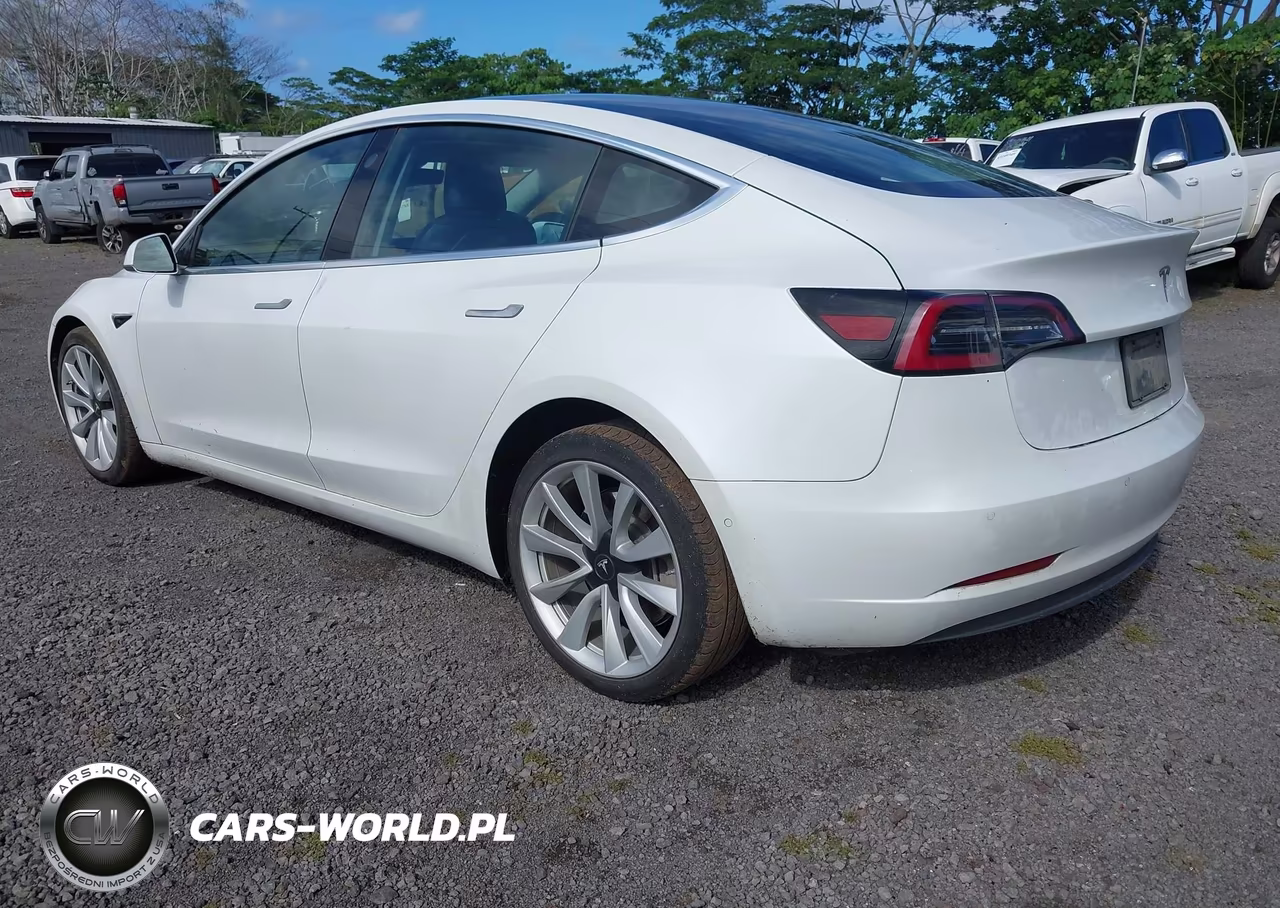 2020 Tesla Model 3 Standard Range Plus Rear-Wheel Drive-Standard Range Rear-Wheel Drive VIN:5YJ3E1EA6LF661687 - 3