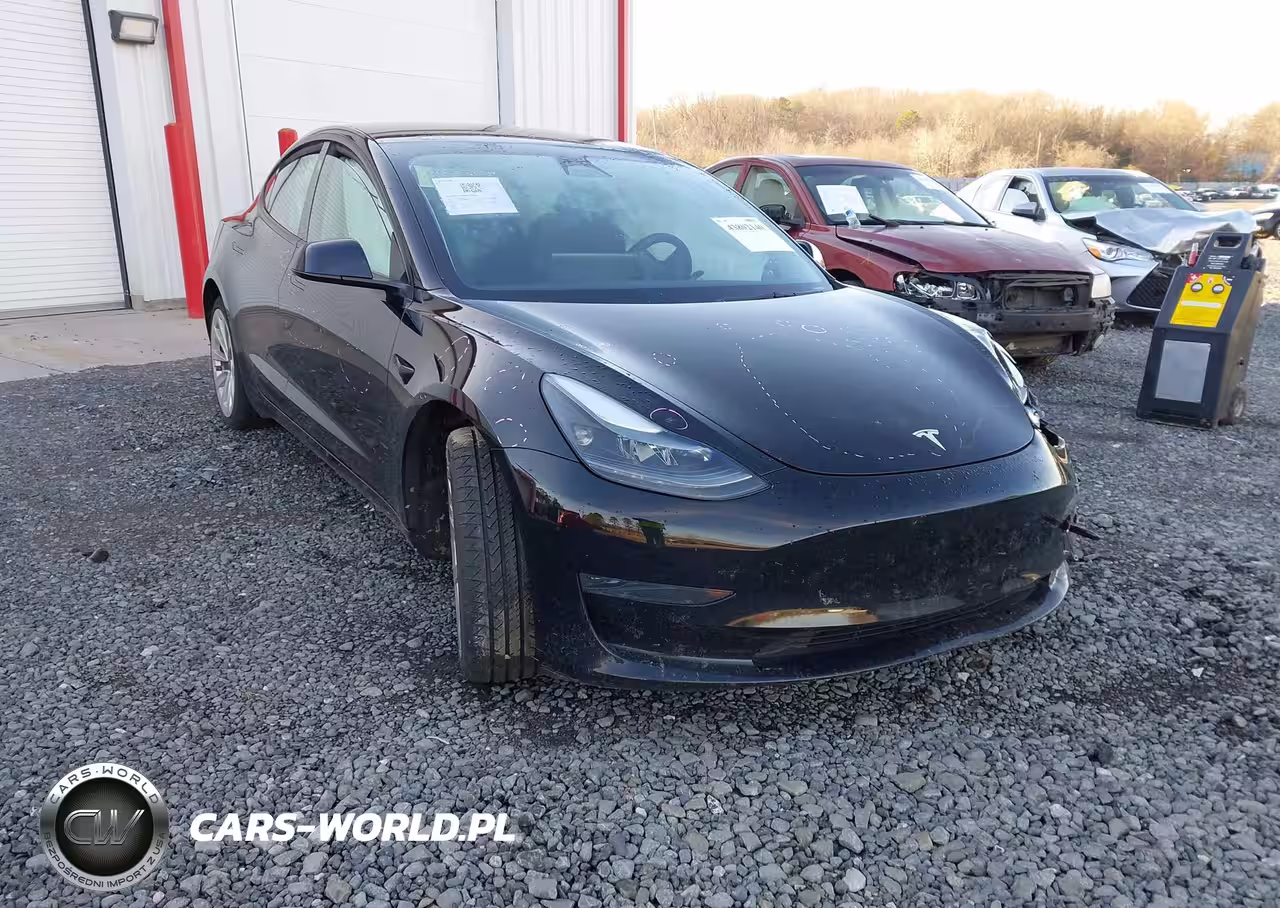 2023 Tesla Model 3 Rear-Wheel Drive