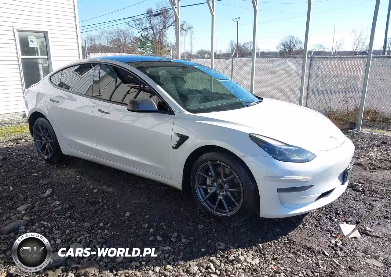 2023 Tesla Model 3 Rear-Wheel Drive