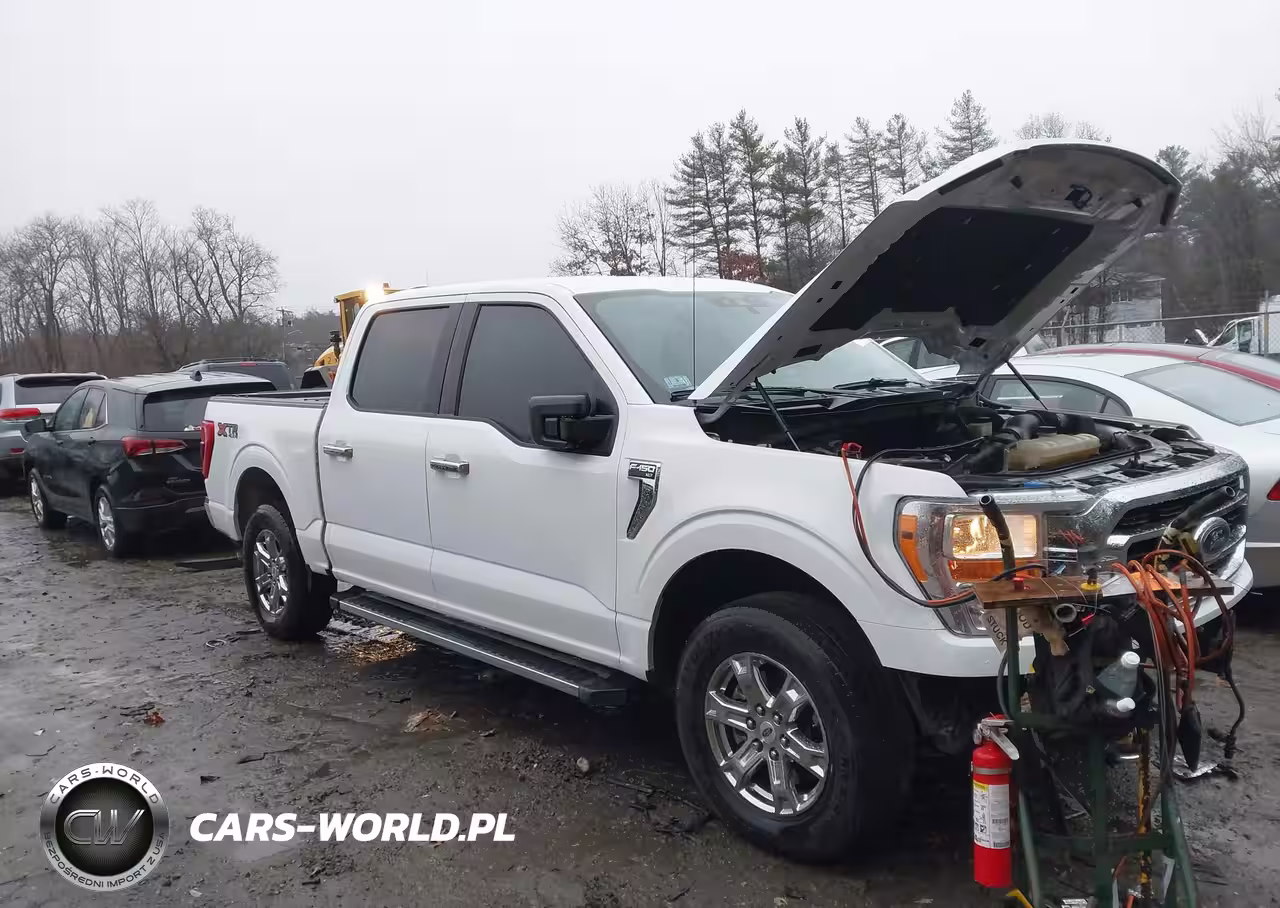2021 Ford F-150 Xlt