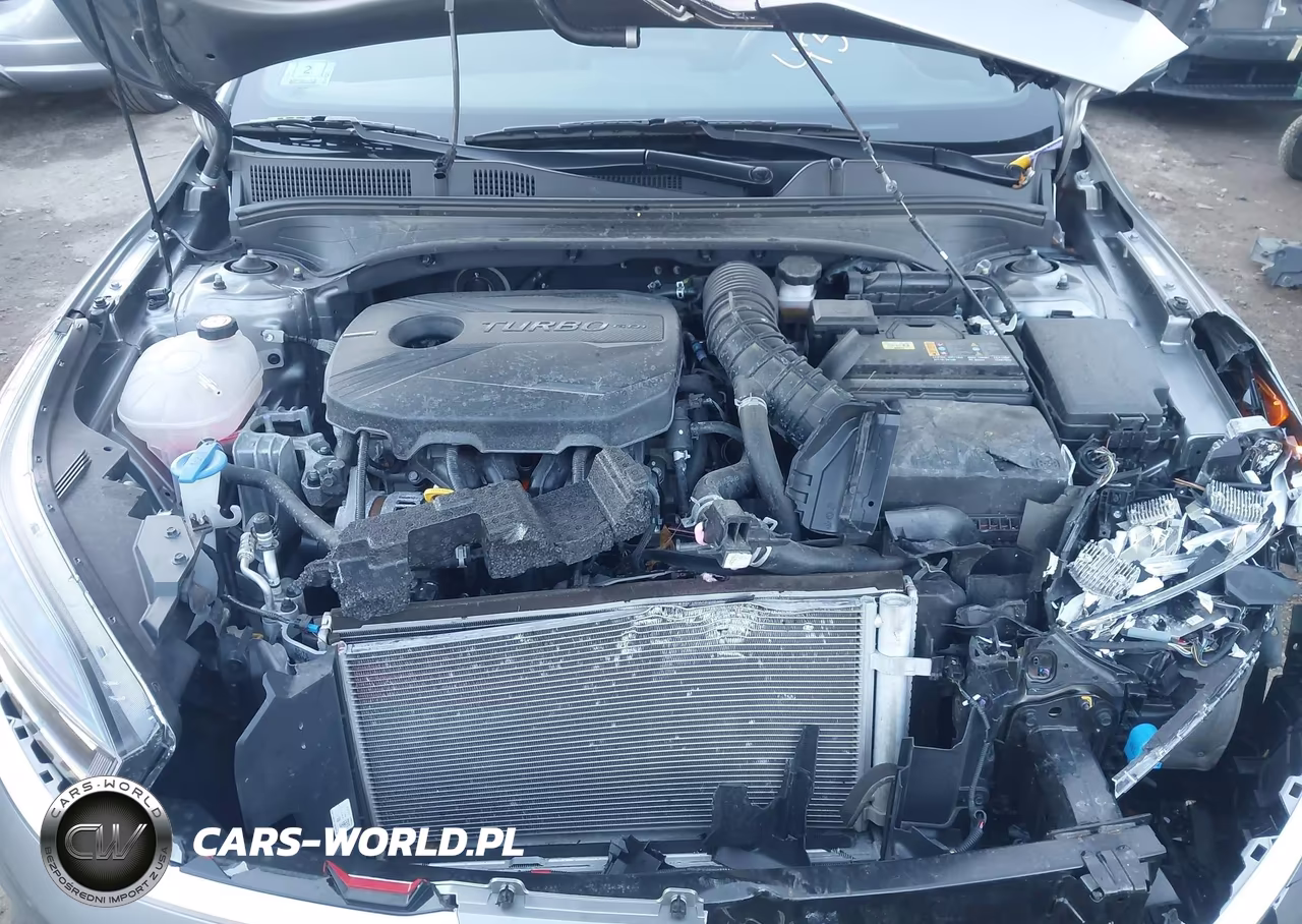 2024 Kia Forte Gt VIN:3KPF44AC1RE710091 - 10