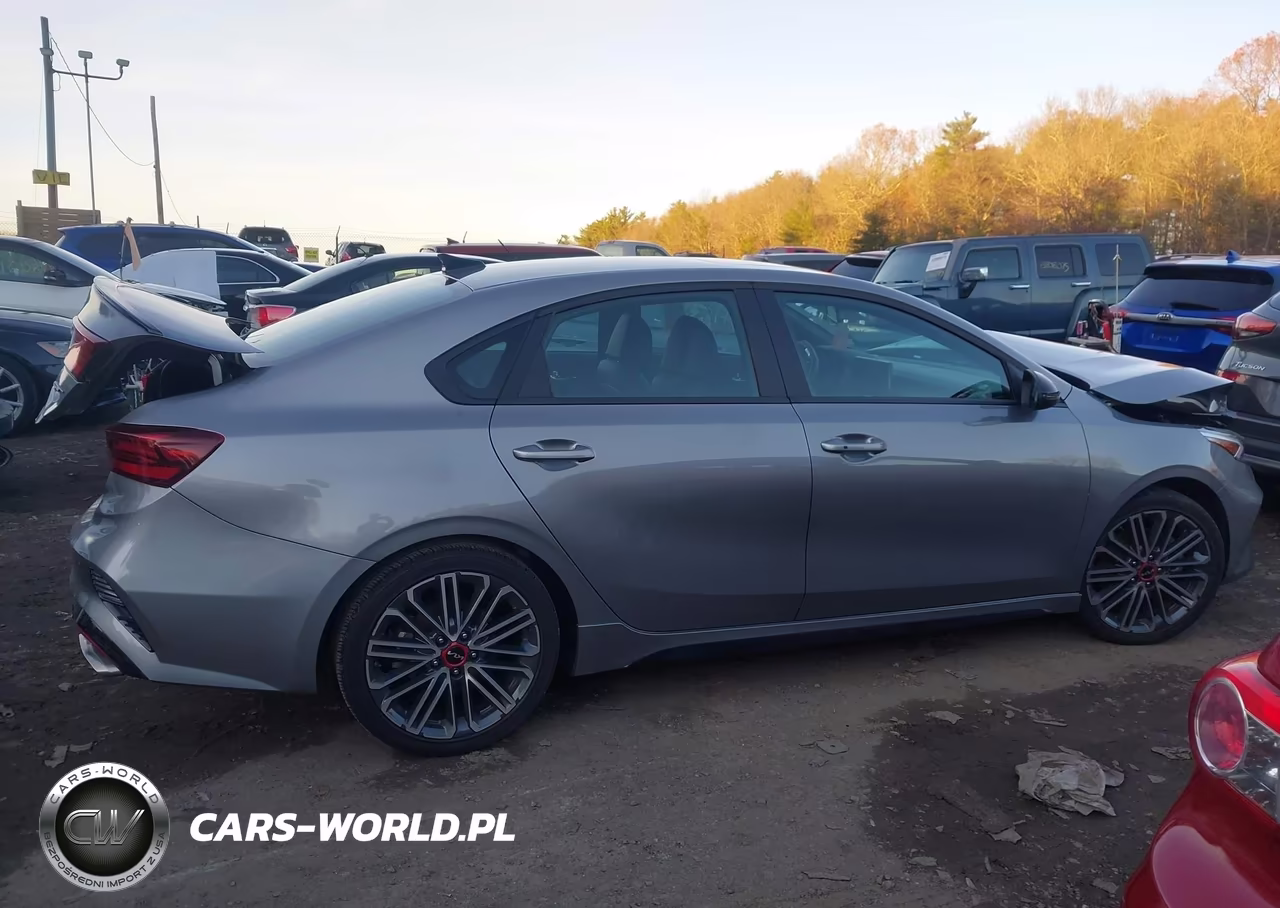 2024 Kia Forte Gt VIN:3KPF44AC1RE710091 - 13