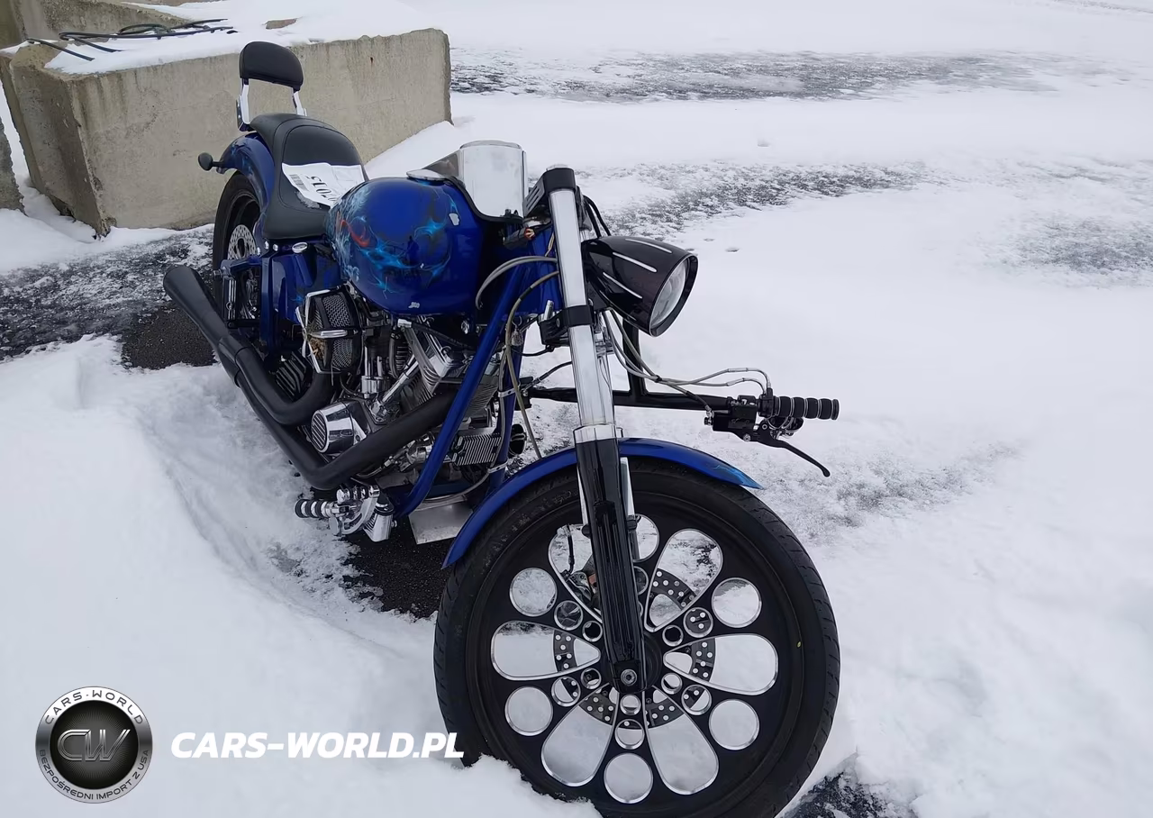2002 Harley-Davidson Other