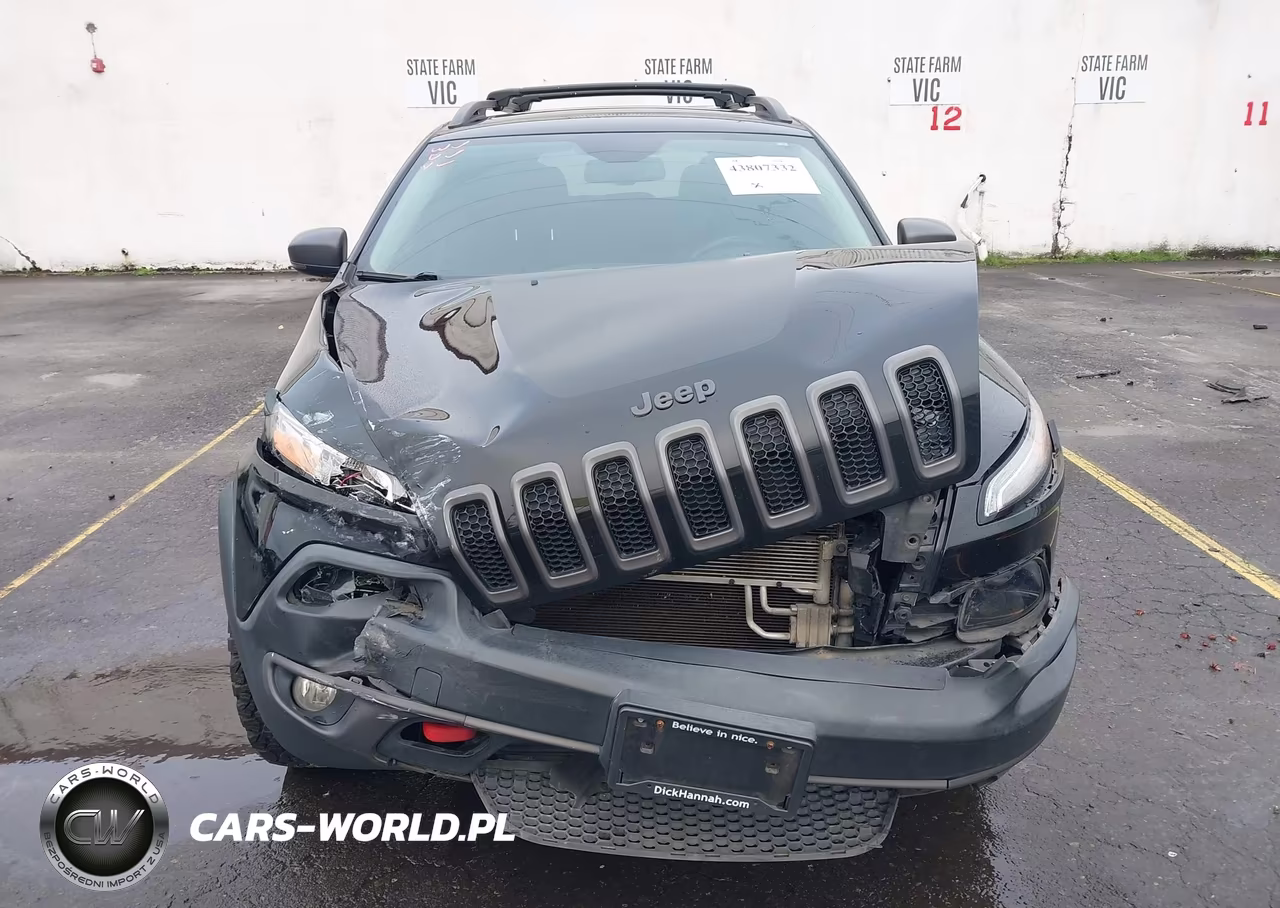 2018 Jeep Cherokee Trailhawk 4X4 VIN:1C4PJMBX2JD562974 - 12