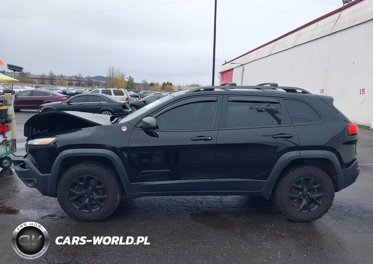 2018 Jeep Cherokee Trailhawk 4X4 VIN:1C4PJMBX2JD562974 - 14