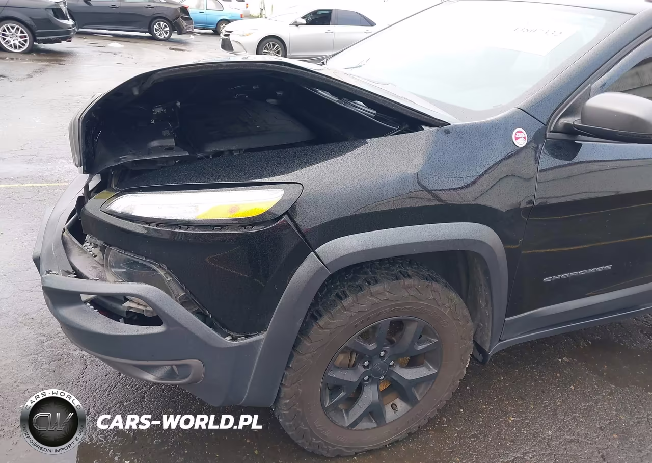 2018 Jeep Cherokee Trailhawk 4X4 VIN:1C4PJMBX2JD562974 - 17