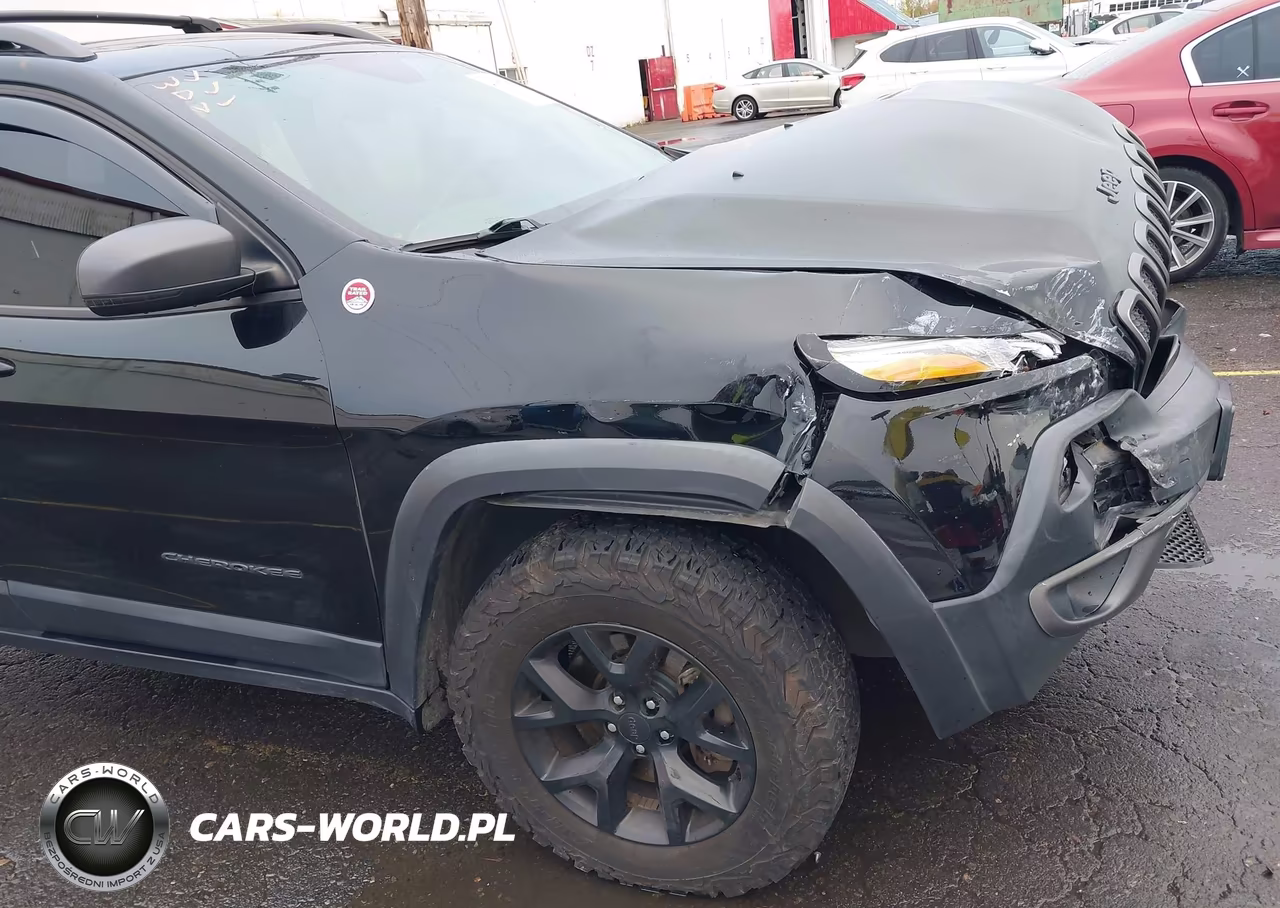 2018 Jeep Cherokee Trailhawk 4X4 VIN:1C4PJMBX2JD562974 - 18