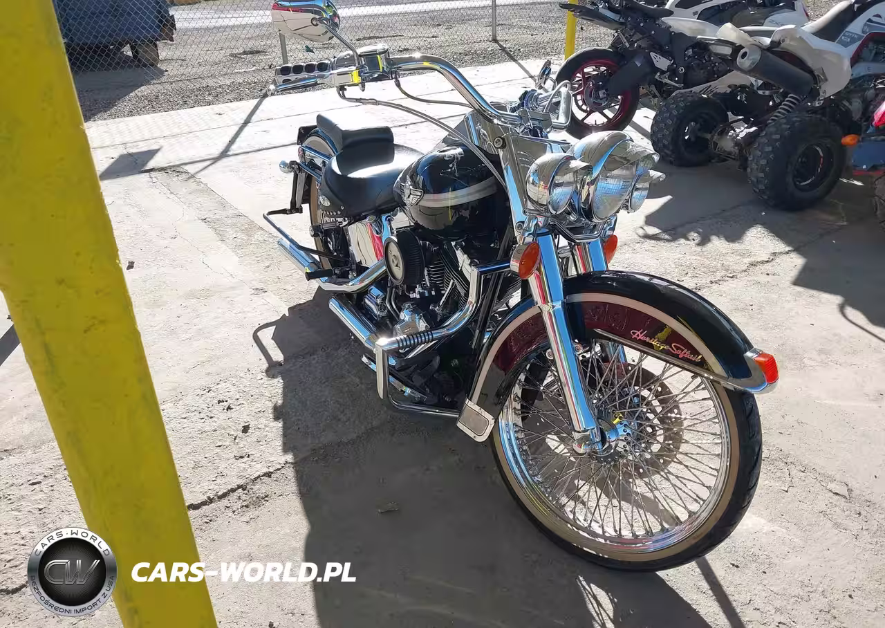 2003 Harley-Davidson Flstci