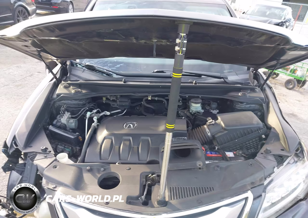 2017 Acura Rdx Acurawatch Plus Package VIN:5J8TB4H33HL002219 - 10