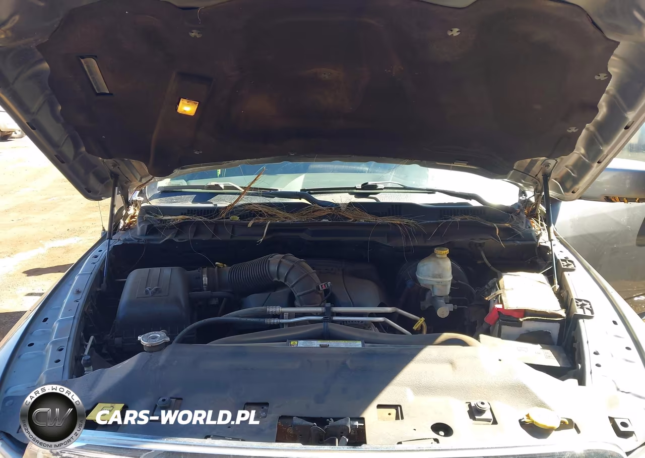 2009 Dodge Ram 1500 Slt-Sport-Trx VIN:1D3HB13T59S798724 - 10