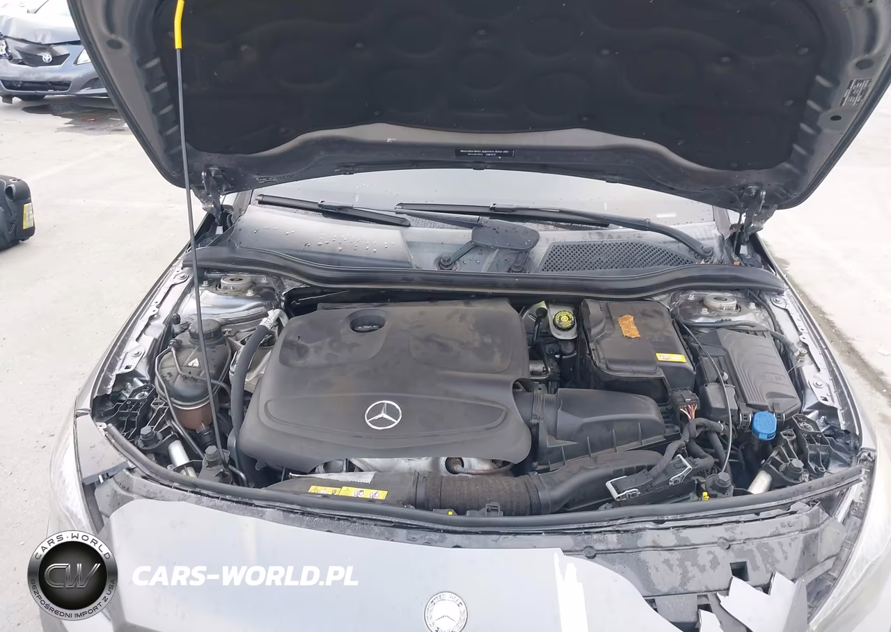 2015 Mercedes-Benz Cla 250 VIN:WDDSJ4EBXFN230718 - 10