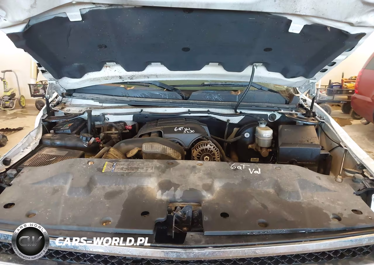 2009 Chevrolet Silverado 1500 Work Truck VIN:1GCEK19C49Z199548 - 10