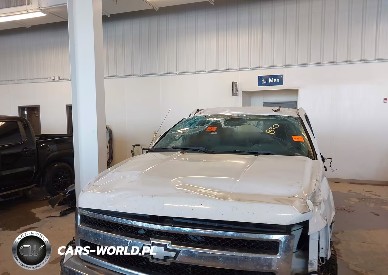 2009 Chevrolet Silverado 1500 Work Truck VIN:1GCEK19C49Z199548 - 12