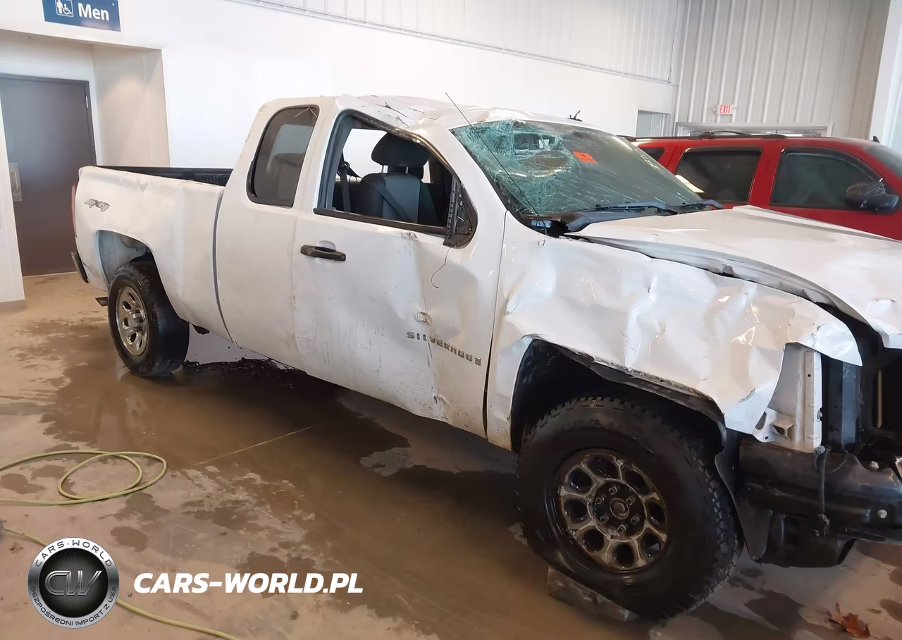 2009 Chevrolet Silverado 1500 Work Truck VIN:1GCEK19C49Z199548 - 15