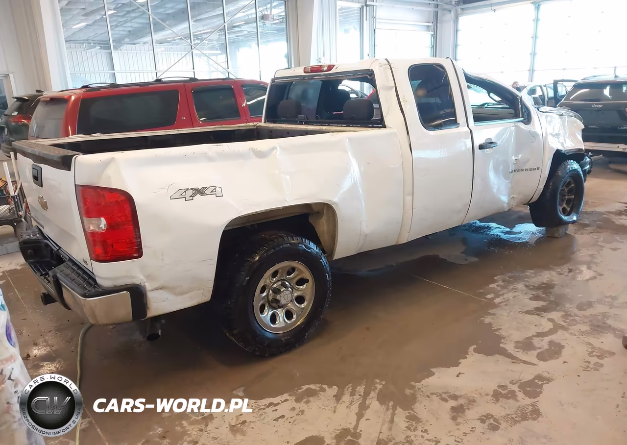 2009 Chevrolet Silverado 1500 Work Truck VIN:1GCEK19C49Z199548 - 4