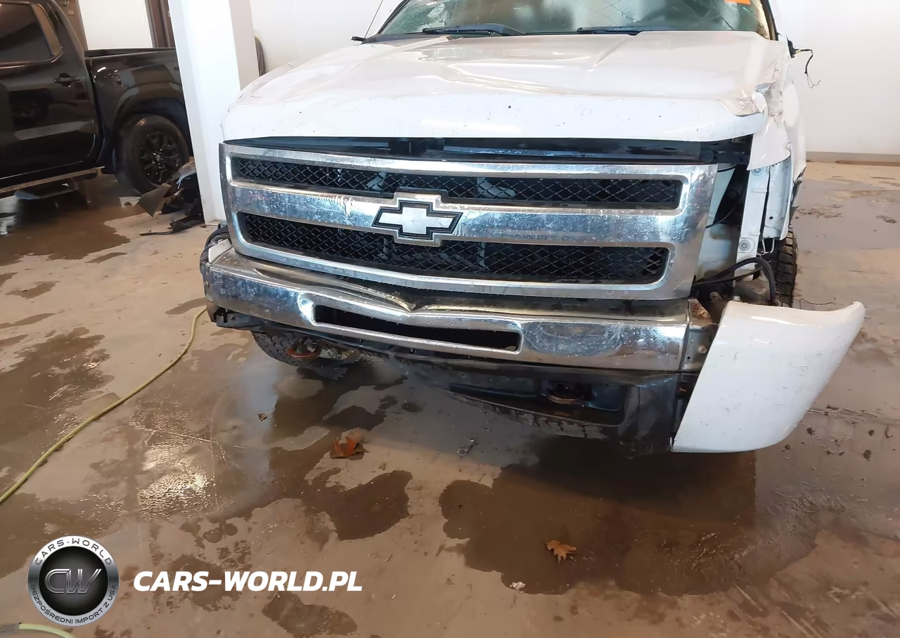 2009 Chevrolet Silverado 1500 Work Truck VIN:1GCEK19C49Z199548 - 6