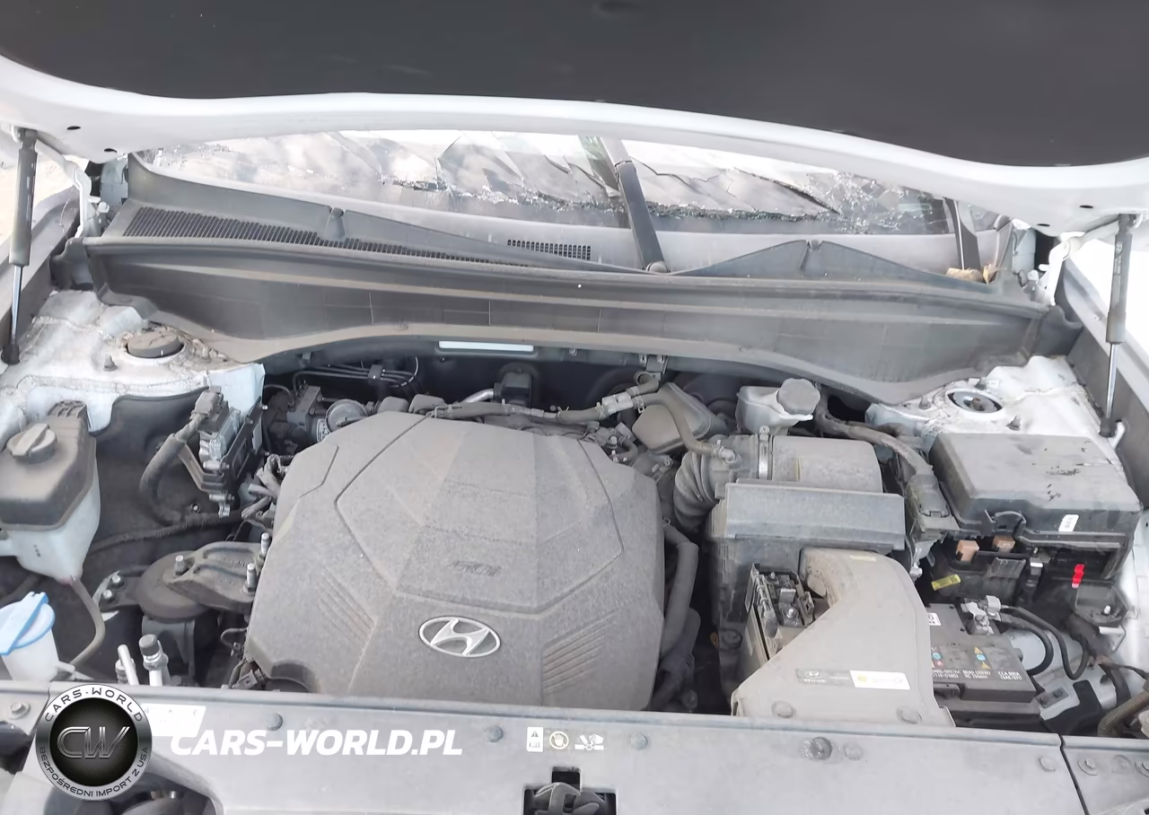 2022 Hyundai Palisade Sel VIN:KM8R44HE5NU436115 - 10
